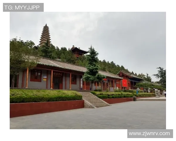 倪永康的政治生涯与影响力探讨:从官场风云到历史评价的全景分析 倪永康的政治生涯与影响力探讨:从官场风云到历史评价的全景分析