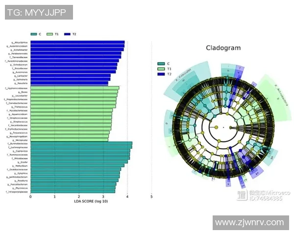 摩洛哥与伊朗比赛后技术统计全面分析与数据解读